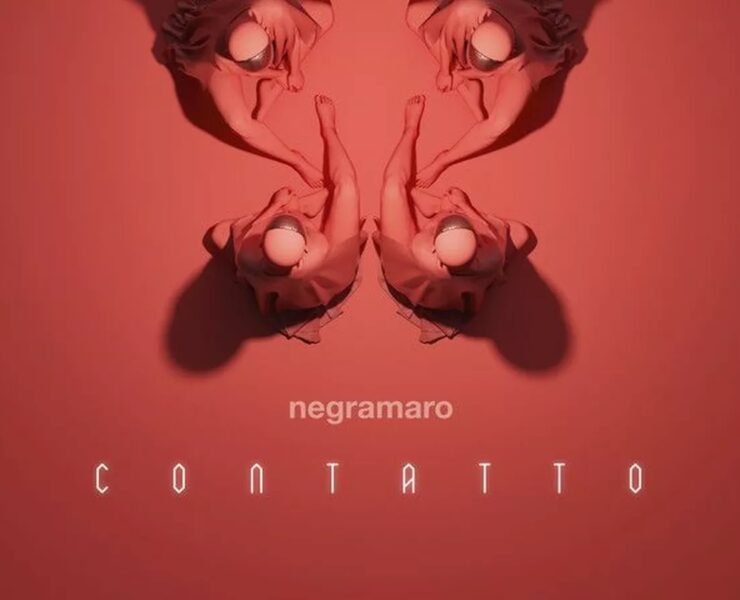 negramaro contatto